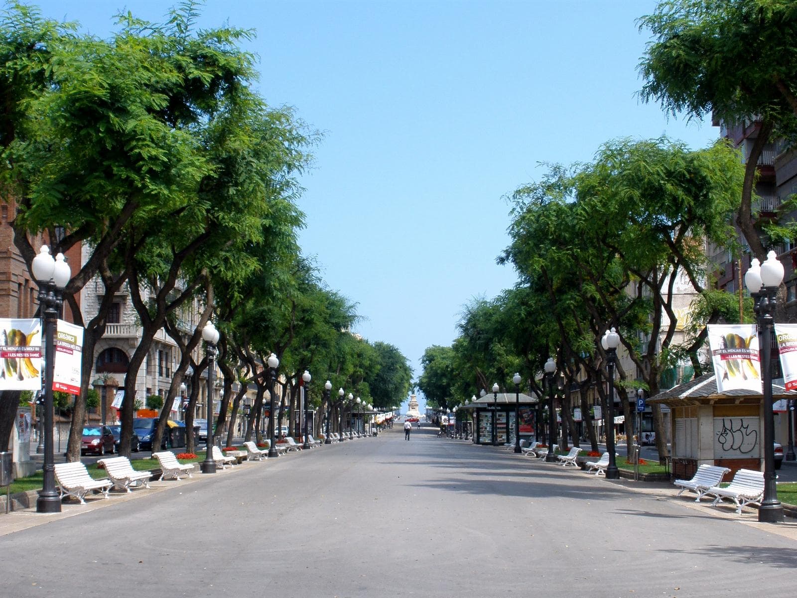La Rambla Nova de Tarragona con sus árboles